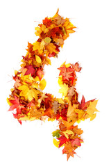 Wall Mural - alphabet sign from autumn leaf