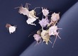 © Science RF - Activated platelets, SEM