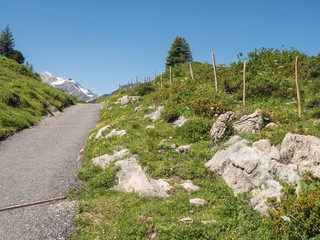 Wall Mural - A view of Alpine mountains surrounding the village Schroecken in Bregenzerwald, region Vorarlberg, Austria