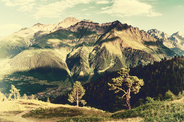 Wall Mural - vintage landscape with trees and mountains