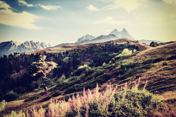 Wall Mural - vintage valley and mountains