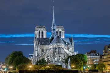 Wall Mural - notre dame paris night view