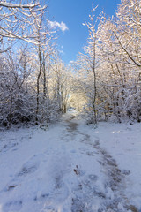 Wall Mural - snowy landscape with blue sky and white clouds