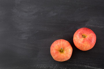 Wall Mural - two apples on a chalkboard background with blank space
