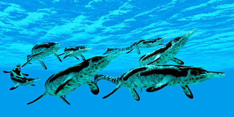 Poster - Cymbospondylus Marine Reptiles - Cymbospondylus ichthyosaurs swim together in a pod searching for prey in a Triassic ocean.