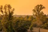 Fototapeta Sawanna - Sunset over the jungle
