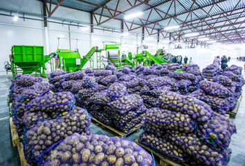 Vegetables and groceries in big warehouse at factory