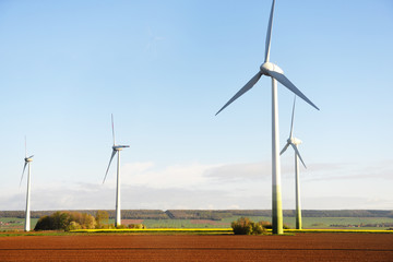 wind turbines in  fields