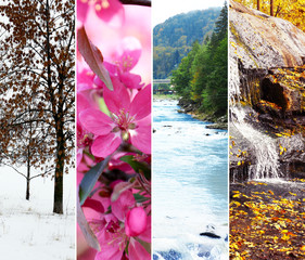 Canvas Print - Different seasons of the year - several photos of beautiful nature. Life cycle concept