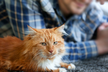 Wall Mural - Young man with fluffy cat lying on a carpet