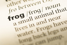 Close Up Of Old English Dictionary Page With Word Frog