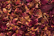 Macro Closeup Background Texture Of Organic Damask Rose Petals (Rosa Damascena).