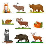 Fototapeta Pokój dzieciecy - Mammal animals vector set in flat style design. Zoo cartoon icons collection. 