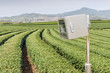 CCTV with cover box and landscape view of tea plantations backgr