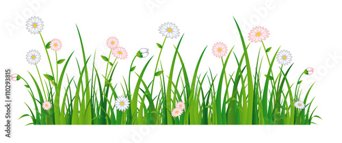 daisy meadow - Gänseblümchen Wiese Stock-Vektorgrafik | Adobe Stock