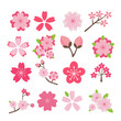 Cherry blossom icon set