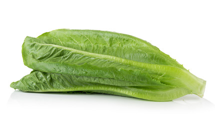 Wall Mural - fresh cos (lettuce) on white background