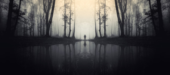 Wall Mural - forest with reflection in lake and man silhouette