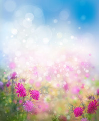 Wall Mural - sunshine, floral, nature background.