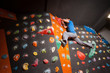 © anatoliy_gleb - Strong rock climber practicing artificial rock climbing on a rock wall indoors, without special equipment