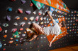 © anatoliy_gleb - Free climber young man climbing artificial boulder in gym, holding with one hand, without special equipment