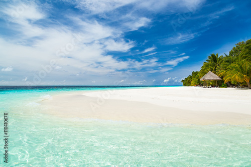 coco palms on tropical para...