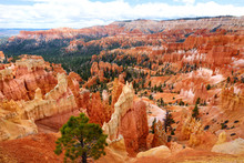 Scenic View Of Stunning Red Sandstone Hoodoos In Bryce Canyon National Park