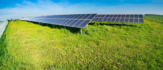 Wall Mural - Electric solar cell on green field