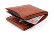 Brown leather wallet with documents. Identity card.