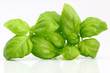 Basil leafs on white background