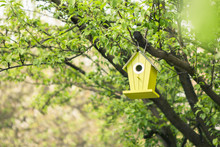 Green Birdhouse Hanging From Tree