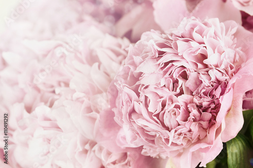 Peonies and Sunlight Wallpaper Mural