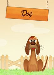 Poster - dog in the farm