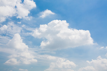 Wall Mural - clouds in the blue sky