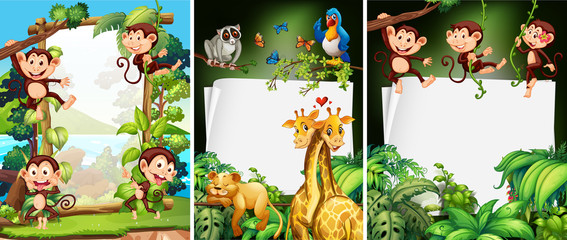 Poster - Banner design with wild animals