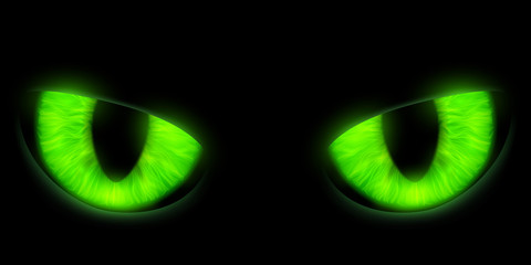 Green cats eyes isolated on a black background. Stock vector ill