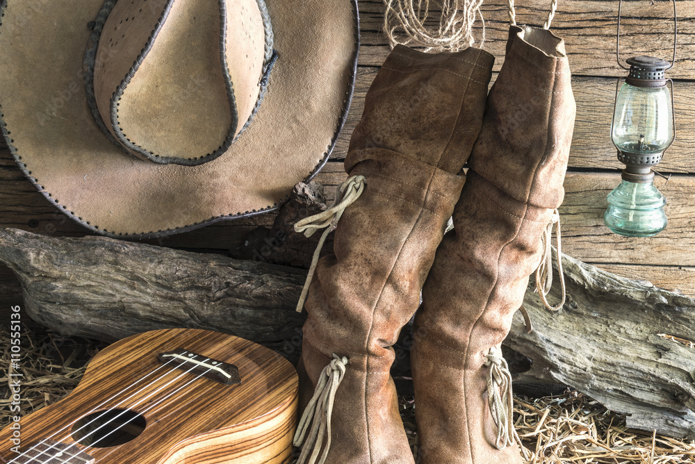 felt cowboy boots