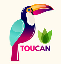 Colored Illustration With Tropical Bird - Toucan