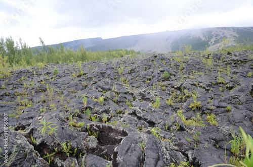 Fotografia Coulées de laves de 2001 et 2004, forêt du grand brûlé