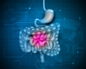 Poster - Gastrointestinal tract. Stomach, small intestine and colon, abstract blue technology background. Beautiful bright illustration.