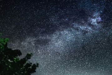 Wall Mural - clearly milky way galaxy found in russia at night