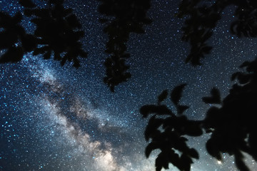 Wall Mural - clearly milky way galaxy found in russia at night