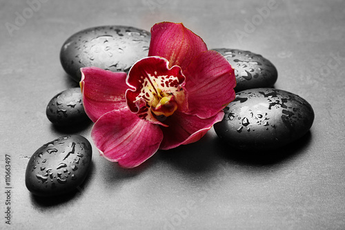 Obraz w ramie Spa stones and red orchid on grey background