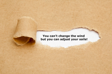 Wall Mural - You can not change the wind Quote