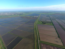 Flooded Rice Paddies. Agronomic Methods Of Growing Rice In The Fields.