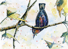 Titmouse On Maple Tree In Watercolor