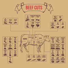 Vintage butcher cuts of beef diagram