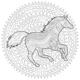 Fototapeta Konie - Running horse in zentangle style. 