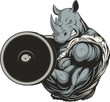 Strong ferocious rhino