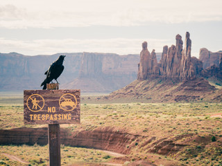 Wall Mural - monument valley, utah, usa